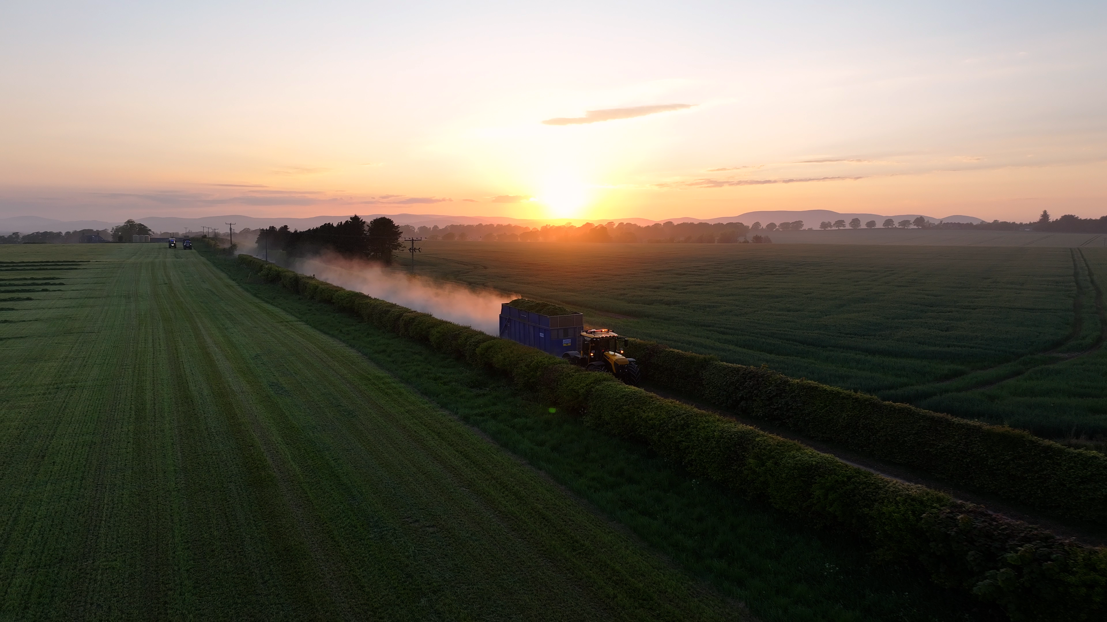 Harvest at sunset